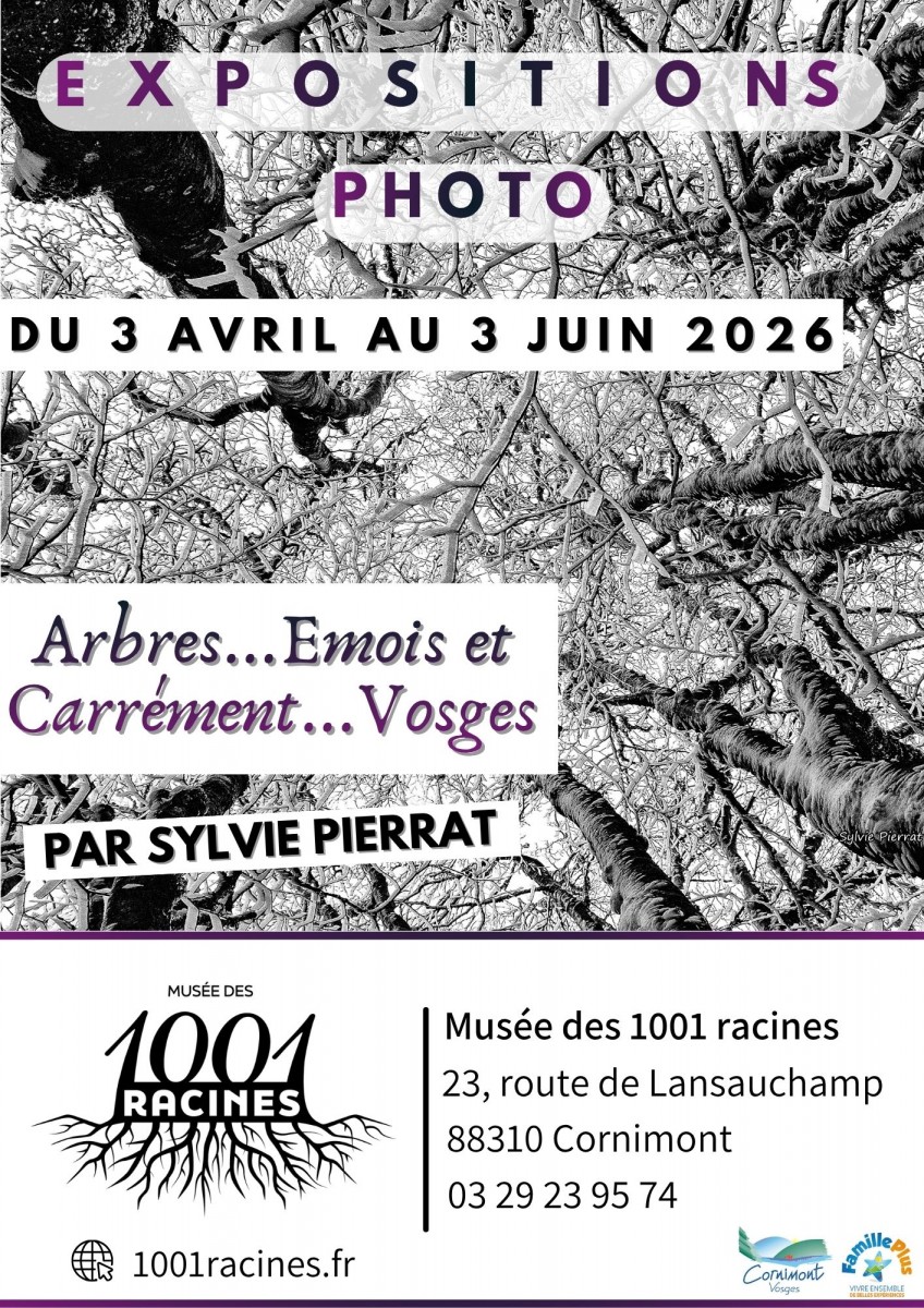 Exposition "Arbres...Emois et carrément Vosges"